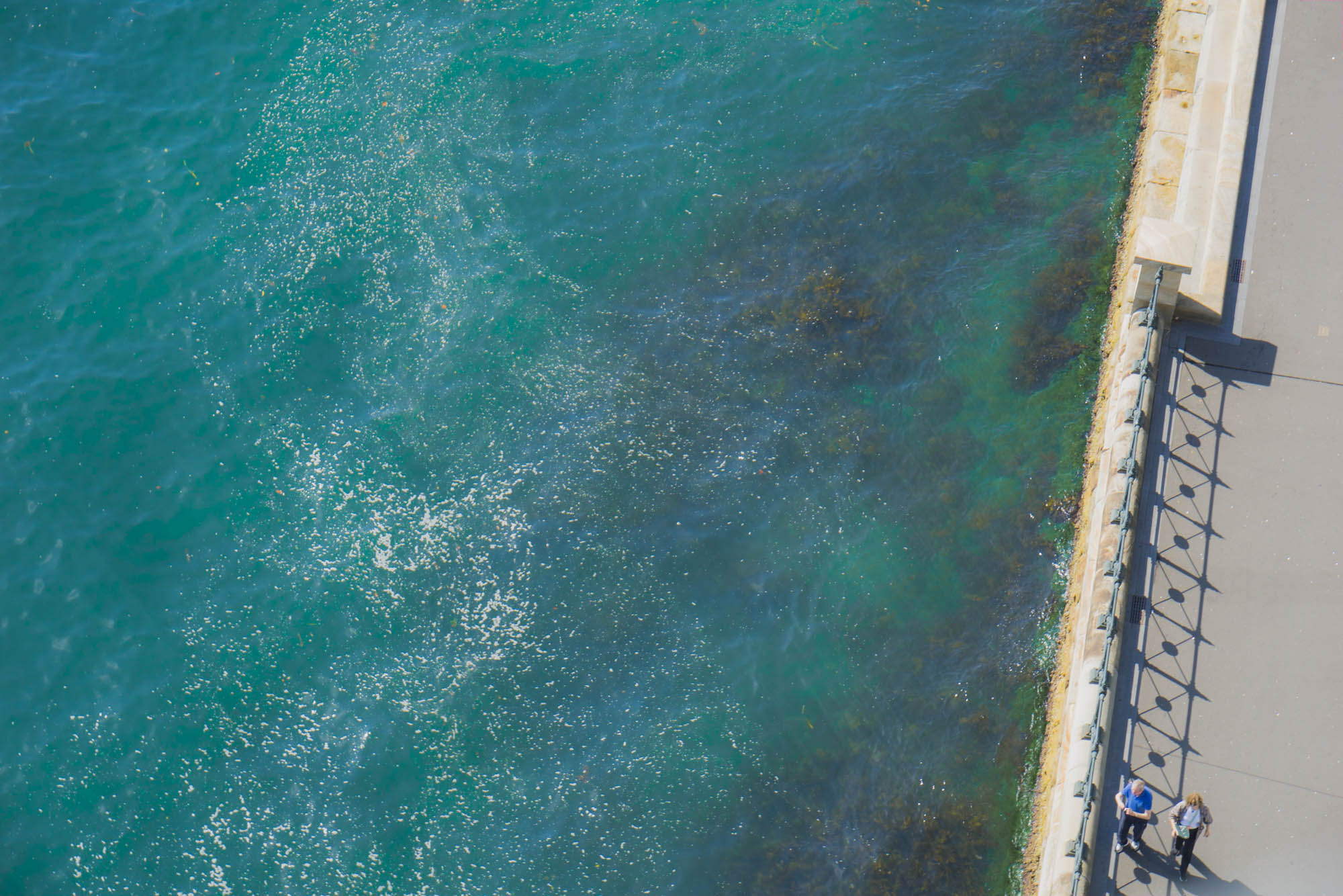 Overlooking blue water in Sydney, Australia